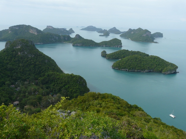 view from top lookout